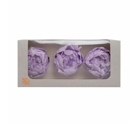 Pivonka preparovaná soft lilac