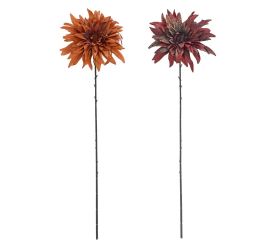 Ks dália jesenná mix/2f 68cm