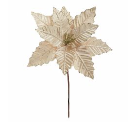 Zápich vianočná ruža šampáň 30cm