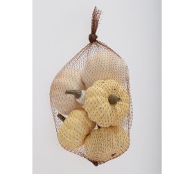Tekvice bielo-krémové v sieťke s/6 8cm