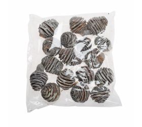 Platyspermum stone washed 4-6cm 200g/pacz -susz