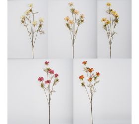 Ks anemonka mix/5f 97cm