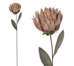 Ks protea ruž/béž penová 71cm
