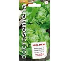 Šalát hlávkový král máje 0,4g