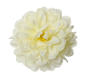 Hlava dahlia krém p:10cm bal:12ks