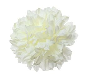 Hlava chryza. smotanová p:15cm bal:12ks