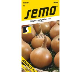 Cibuľa aeneus f1 - žltá, jarná 2,5g