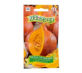 Tekvica hokkaido fictor f1 8s.