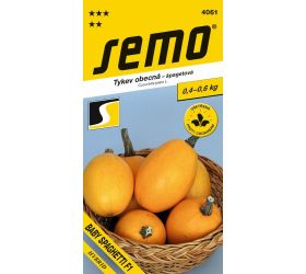 Tekvica baby spaghetti f1 1,4g