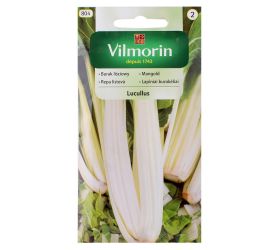 Mangold lucullus 10g