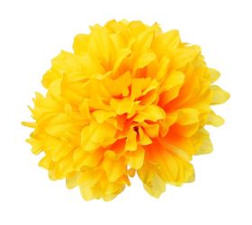 Hlava chryzantéma oranžová 13cm bal:12ks