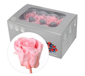 Ruža preparovaná 4cm pastel pink /ks- bal. 8 ks