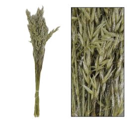 Avena nature zv.silver 66x18x4cm