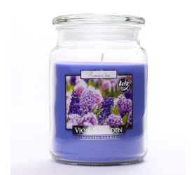 Voň.v skle s vrchn.fiol.ogrod/snd99-343/500gr 15cm