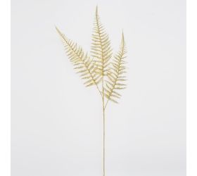 Zeleň papraď zlatá 79cm