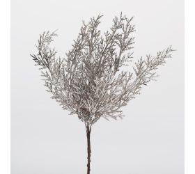 Zápich tuja šampáň 20cm