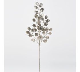 Konár lunária šampáň 62cm