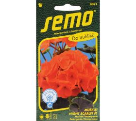 Muškát night scarlet f1 11s