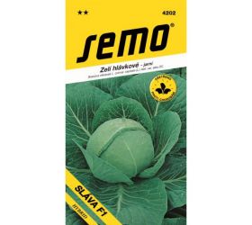 Kapusta hl sláva f1 50s