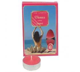 Čajové voňavé/6 venus