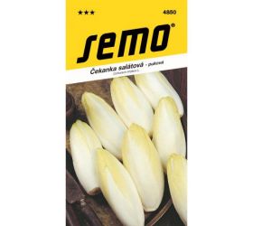 Čakanka obyč. mechelse middelvroeg 0,6g