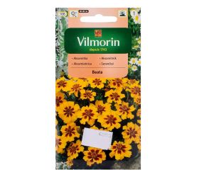 Aksamietnica rozložitá jednoduchá beata 1g