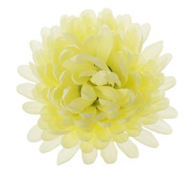 Hlava chryzantéma sv.žltá 10cm bal:12ks