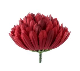 Hlava chryzantéma tm.bordo 10cm bal:12ks