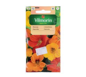 Kapucínka nízka 5g