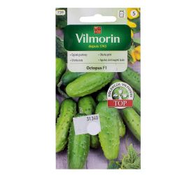 Uhorka siata octopus f1 2g