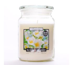 Voň.v skle s vrchn.jazmin/snd99-169/500gr 15cm