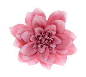 Hlava dahlia 14cm bal.12ks ružové