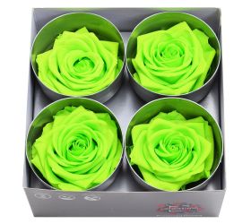 Ruža preparovaná 7/8cm lime green /ks - bal. 4 ks