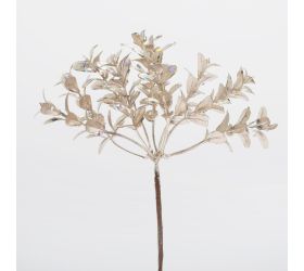 Zápich buxus šampáň 19cm