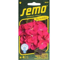 Muškát night violet f1 11s