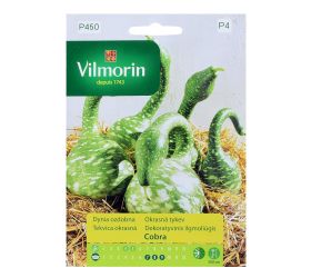 Tekvica okrasná cobra 10/15