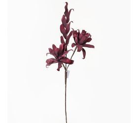 Ks kvet pena - bordo 80cm