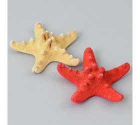 Hviezdica biela+cerv. bag super cena