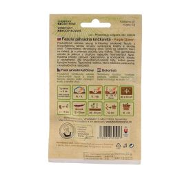 Fazuľa záhr.kr.purple queen 20g