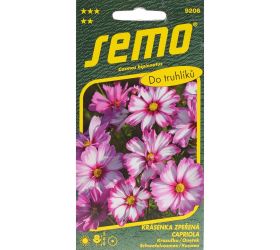 Krasuľka capriola 20s.