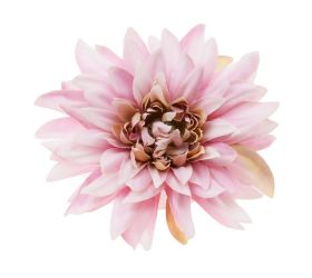 Hlava dahlia 4cm bal.12ks fialková