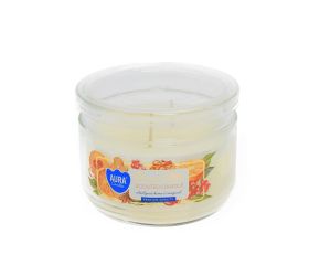 Voň v skle pomar.sušienka snp106-450