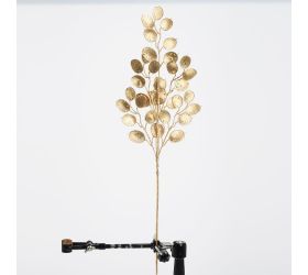 Konár lunária zlatá 62cm