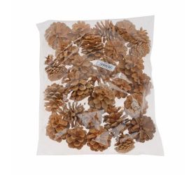 Pinus niger 5-8cm wyb. pacz 0,5kg