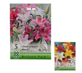 Large pack - lilium mix as/or 5ks