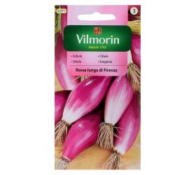 Cibuľa rossa lunga di firenze 2g