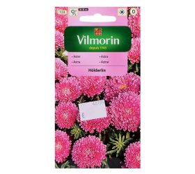 Astrovka čínska trpaslík holderin 0,5g