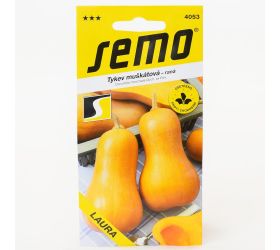 Tekvica laura - muškátová