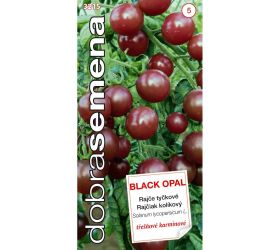 Rajčiak kol. čereš. black opal 15s