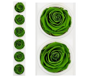 Ruža preparovaná 6,5cm emerald green /ks